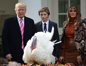 4693A57700000578-5109279-President_Trump_left_attended_Tuesday_turkey_pardoning_ceremony_-a-18_1511389034574.jpg