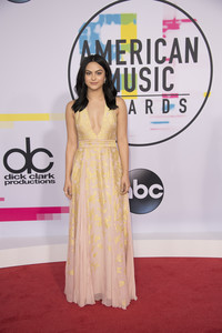 57452820_camilamendes_45thamericanmusicawards-10.jpg