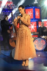   leam151117BZNimage5.jpg
