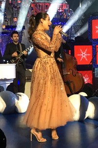    leam151117BZNimage7.jpg