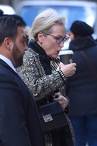      mstreep21117BZNimage102.jpg