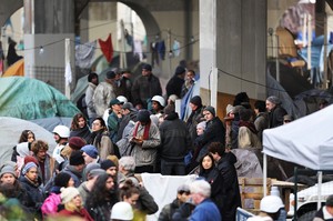   swc22117BZNimage117.jpg