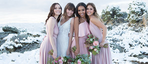 bridesmaids-hb4.jpg