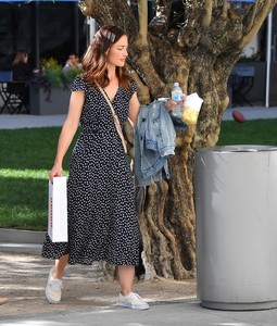 minka-kelly-out-in-la-112117-7.jpg