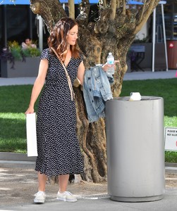 minka-kelly-out-in-la-112117-9.jpg