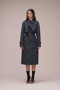 25-erdem-pre-fall-18.jpg