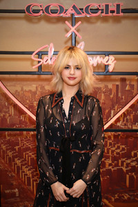   sgo041217BZNimage1.jpg