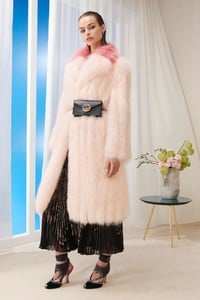 Birgit Kos Fendi-Pre-Fall 2018-lookbook 10.jpg