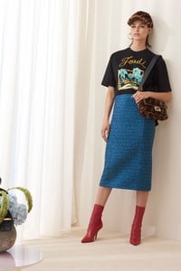Birgit Kos Fendi-Pre-Fall 2018-lookbook 20.jpg