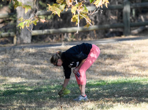     kateu201217BZNimage37.jpg