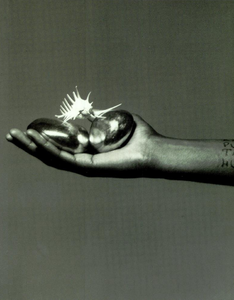 Barbieri_Vogue_Italia_December_1989_05.thumb.png.84ae2b105b491acb85468e4918a06332.png