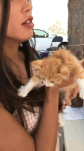 IMG_0267.GIF