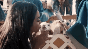 IMG_9702.GIF