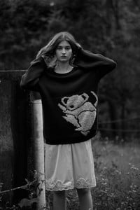 Image12.jpg