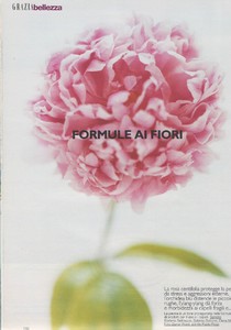 Scan40017.JPG