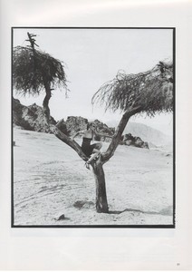 Scan40018.JPG
