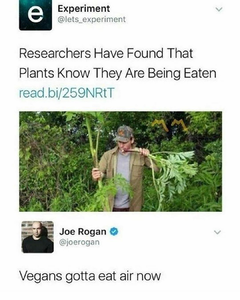 image.thumb.png.ae624a2cf9ff7d8f44e244b73721f917.png