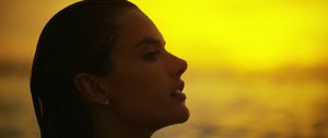 Alessandra Ambrosio 28.png
