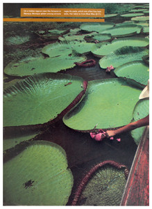 5a64db793f176_SportsIllustratedJanuary16197808.thumb.jpg.605ac31b679c3c1df784c28f66082e88.jpg