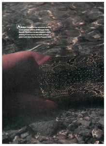 5a65e331e8ed7_SportsIllustratedFebruary13198412.thumb.jpg.25ed9280bc4ebf83b3bb248542991b6d.jpg