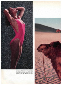 5a65e5e07e529_SportsIllustratedUSFebruary11198512.thumb.jpg.b94a9e5248d01aa7d234de9d4b22a313.jpg