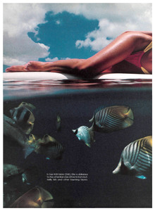 5a65e96bdf204_SportsIllustratedUSFebruary10198627.thumb.jpg.c17827469c1a7cdc2a4e1b54336119f6.jpg