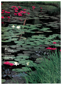 5a65f4f64cd7f_SportsIllustratedUSFebruary15198827.thumb.jpg.041d7ca227213077c9a272c3a795d1d1.jpg