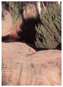 5a6647f661ab7_SportsIllustratedUSFebruary14199426.thumb.jpg.e2c4a0c667a1d059532328d730c05675.jpg