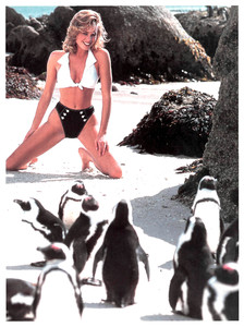 5a666b7051ee6_SportsIllustratedUSJanuary29199615.thumb.jpg.d57f6e25295b79b29dcb7d77fc44e903.jpg