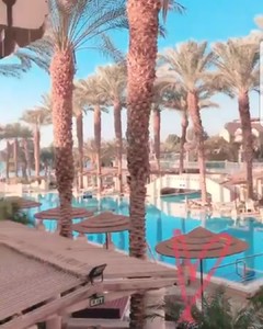 IMG_20180110_084643_533.jpg