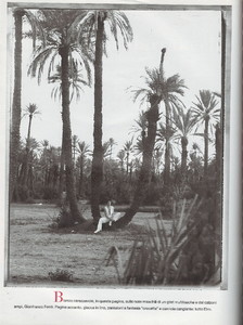Scan10190.JPG