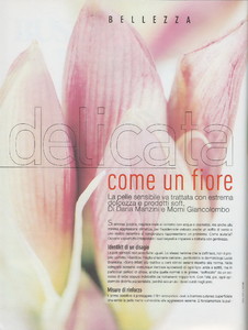 Scan40254.JPG
