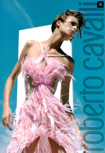 Testino_Roberto_Cavalli_Fall_Winter_03_04_03.thumb.png.24d82ae2c5835631869fd1176da79845.png