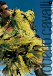 Testino_Roberto_Cavalli_Fall_Winter_03_04_07.thumb.png.16d3c15bb0e51bc1e78784087aa96494.png