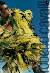 Testino_Roberto_Cavalli_Fall_Winter_03_04_07.thumb.png.95ef7f5f27371bbd967960a4a0b7dde6.png