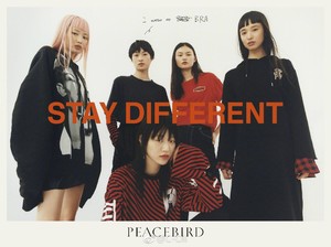 peacebird_1.thumb.jpg.db01a0cbbeab3e55aeceb25badbc4e43.jpg