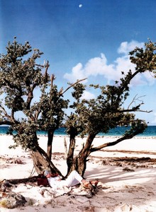 us_elle_dec_1996_3.thumb.jpg.7c085f4f8f41bdaeb1a832609d1c2a5f.jpg