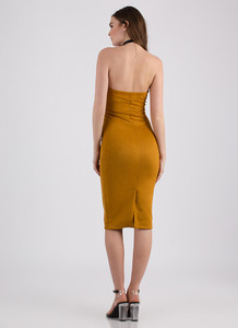 127925-e-mustard-2.thumb.jpg.136092b9ae83d9c92f91468dbe662a60.jpg