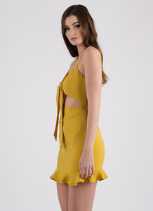 131448-e-mustard-1.thumb.jpg.14f16f966a64b784db23e7b3ce703374.jpg