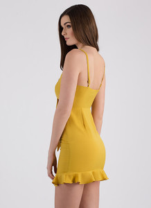 131448-e-mustard-2.thumb.jpg.cc5da70cbaab512d22b55688c1fc2e9c.jpg