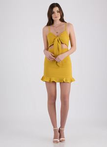 131448-e-mustard-3.thumb.jpg.6f6a90892091f2731f4c7269aa8c9909.jpg