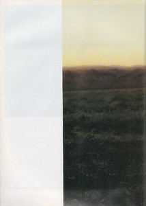 9.JPG