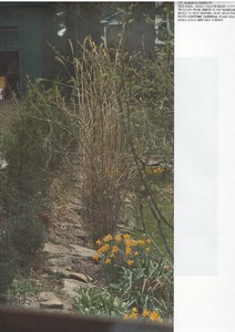 Scan10003.JPG