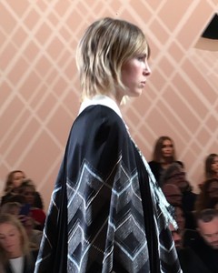 edie_fendi_aw18_francedejerphanion.thumb.jpg.89760a7cd3dc54bdde052930138a9733.jpg