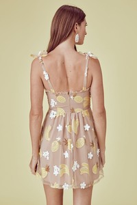 fruitpunchminidress-3.jpg