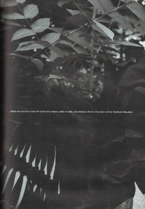 glamour2.thumb.JPG.0a8d209c46cce1e3931ad0366b758926.JPG