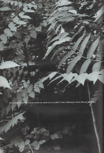 glamour9.thumb.JPG.253936a5ad9f501587190bd9d46c6e83.JPG