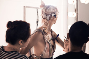 swarovski-pv18-6.jpg