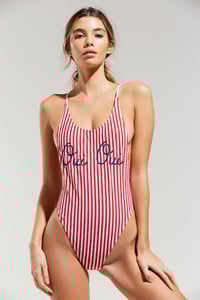 43070390_095_b.jpg
