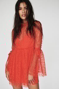 45292943_060_a.jpg